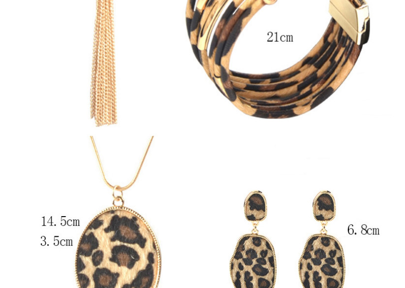 Fashion Round Combination Leopard Print Tassel Geometric Alloy Earrings Necklace Bracelet,Jewelry Sets