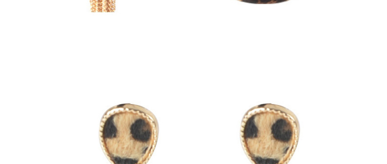 Fashion Leopard Print Suit Leopard Pattern Tassel Alloy Earrings Necklace Bracelet,Jewelry Sets