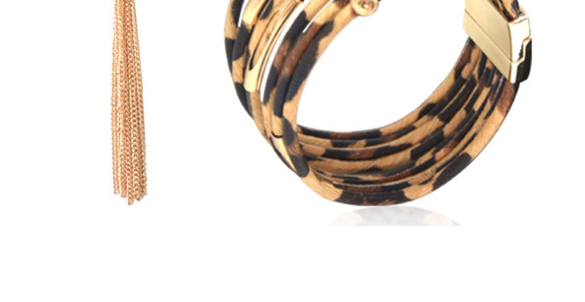 Fashion Leopard Print Suit Leopard Print Tassel Resin Geometric Earrings Necklace Bracelet,Jewelry Sets