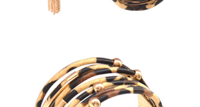 Fashion Leopard Print Suit Leopard Print Tassel Geometric Earrings Necklace Bracelet,Jewelry Sets