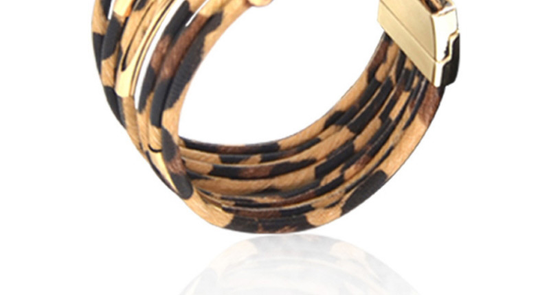 Fashion Leopard Print Suit Leopard Print Tassel Geometric Earrings Necklace Bracelet,Jewelry Sets