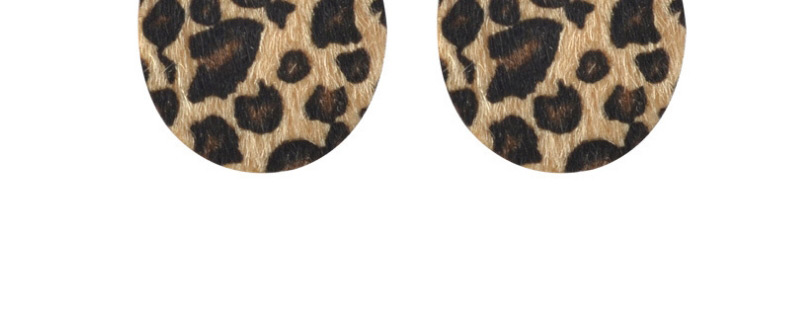 Fashion Leopard Print Suit Leopard Print Geometric Resin Earrings Necklace Bracelet,Jewelry Sets