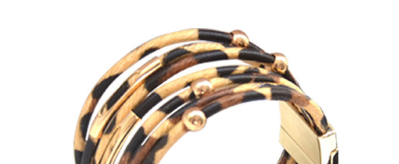 Fashion Leopard Print Suit Leopard Print Geometric Resin Earrings Necklace Bracelet,Jewelry Sets