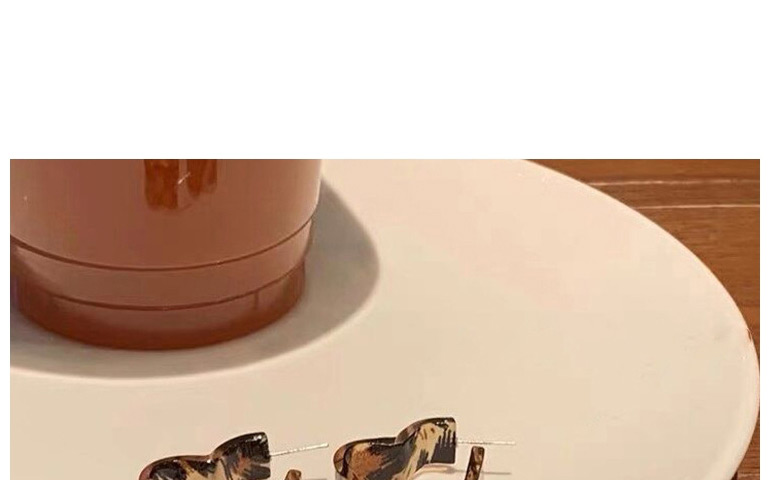 Fashion Leopard Leopard Print Acrylic Geometric Earrings,Hoop Earrings