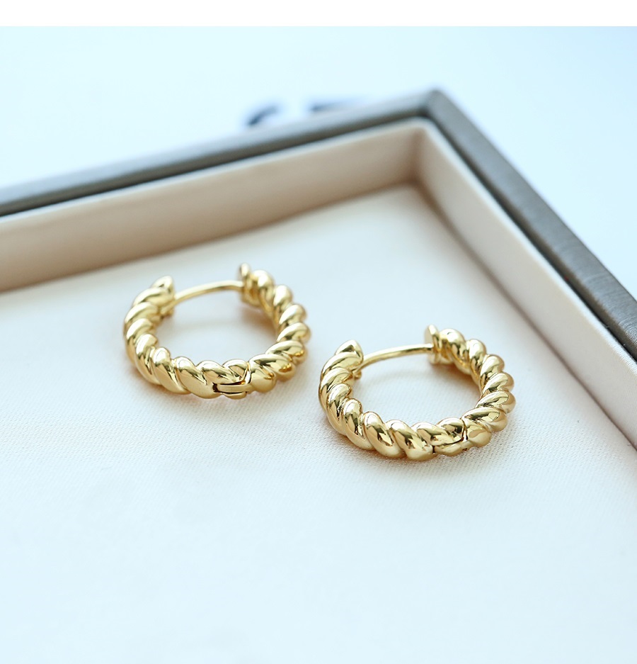 Fashion Gold Color Alloy Twist Earrings,Earrings