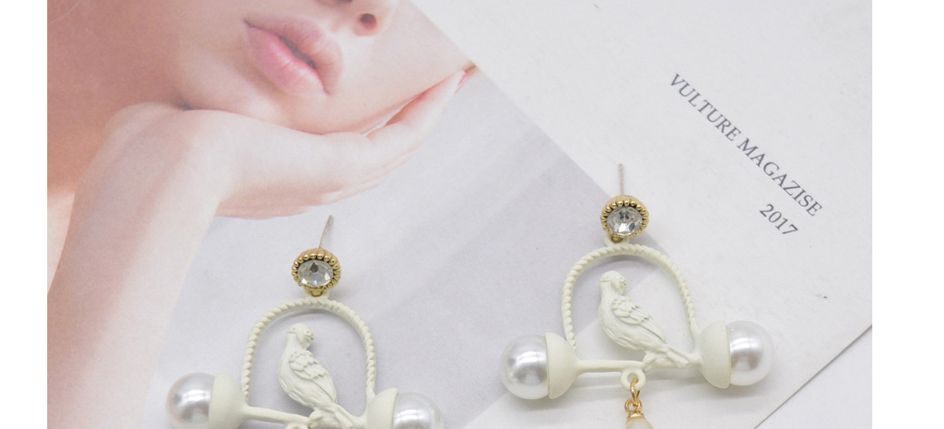 Fashion White Alloy Frosted Birdcage Pearl Stud Earrings,Stud Earrings