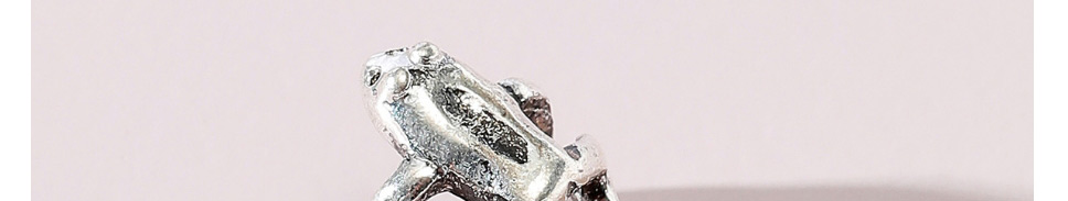 Fashion Silver Alloy Frog Ring,Fashion Rings