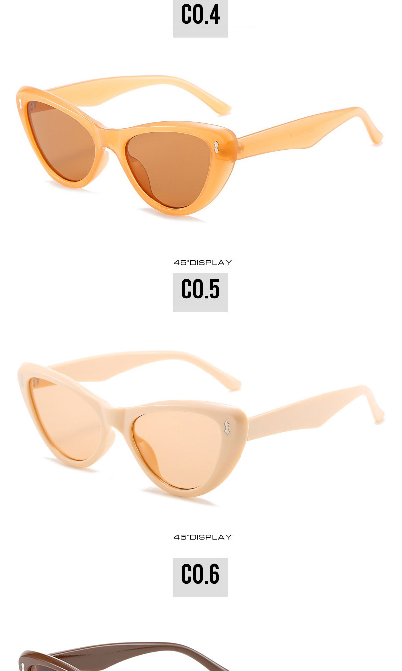 Fashion Powder Frame Tea Slices Cat Eye Rice Stud Sunglasses,Women Sunglasses