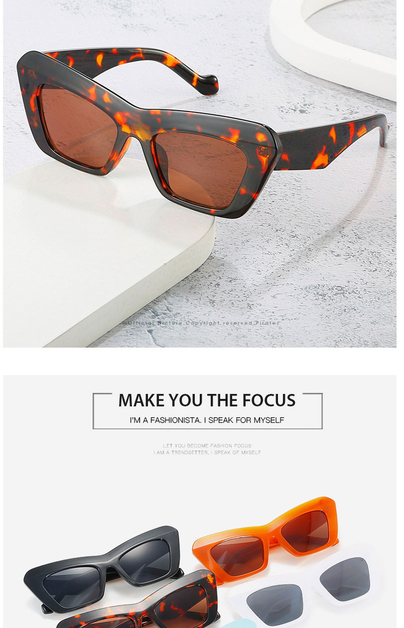 Fashion Leopard Frame Tea Slices Triangle Cat Eye Sunglasses,Women Sunglasses