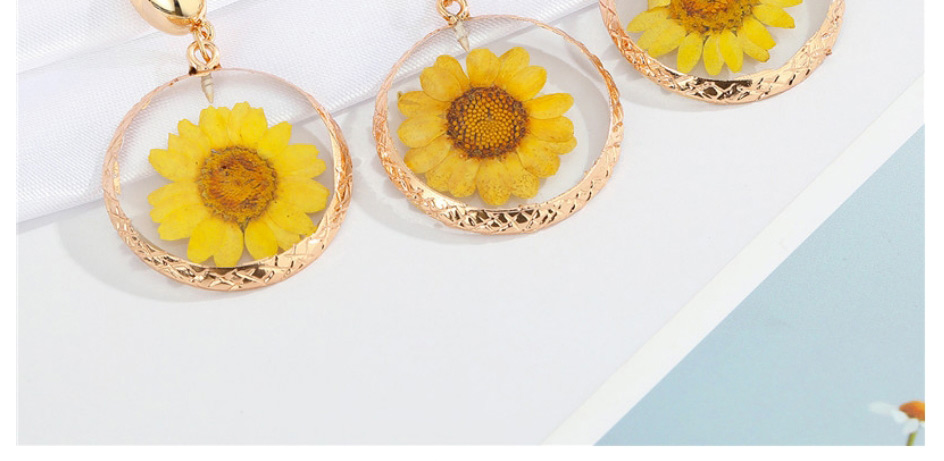 Fashion Round Sun Flower Earrings Resin Round Dried Flower Earrings,Drop Earrings