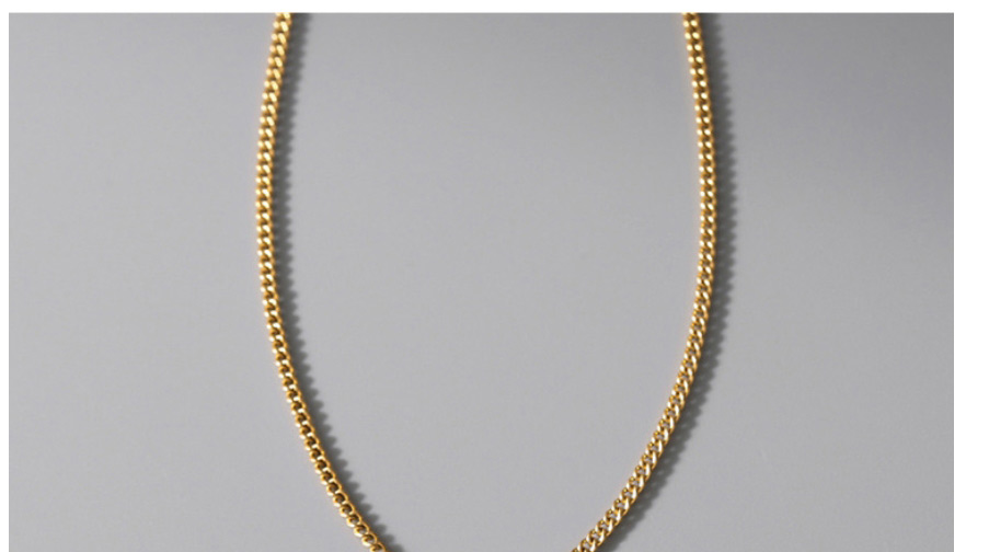Fashion Gold Color Titanium Steel Portrait Tag Necklace,Necklaces