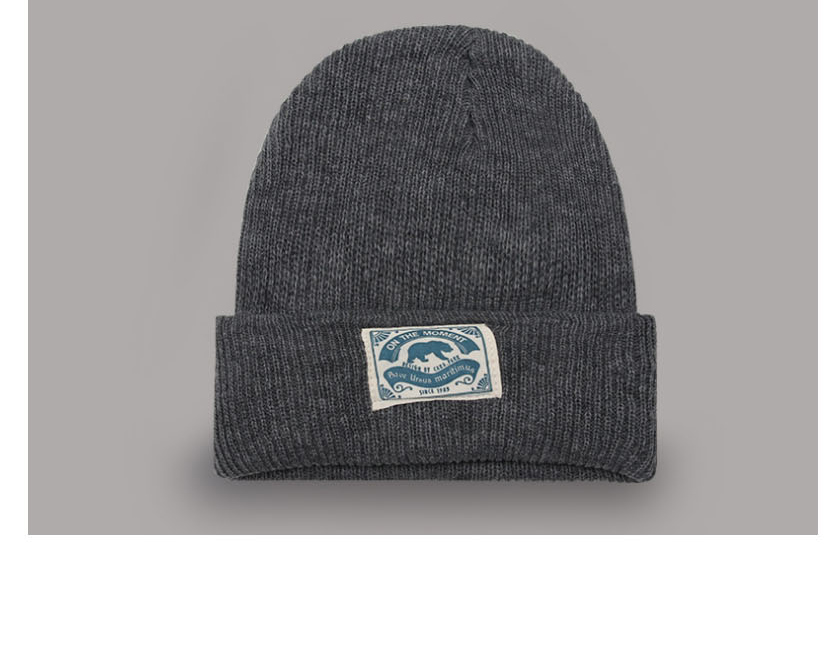 Fashion Blue Knitted Hat Polar Bear Patch Wool Beanie,Beanies&Others