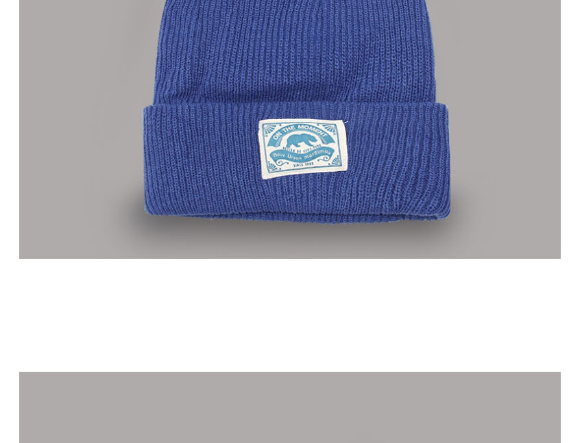Fashion Blue Knitted Hat Polar Bear Patch Wool Beanie,Beanies&Others