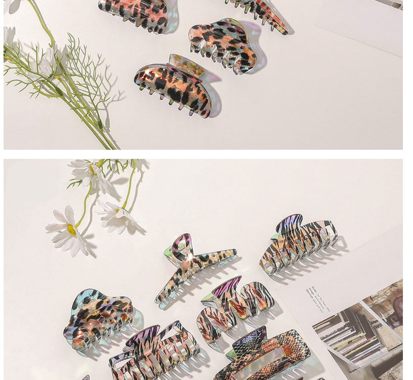 Fashion Leopard Print-w Shape Acetate Leopard Zebra Snake Print Geometric Grip,Hair Claws