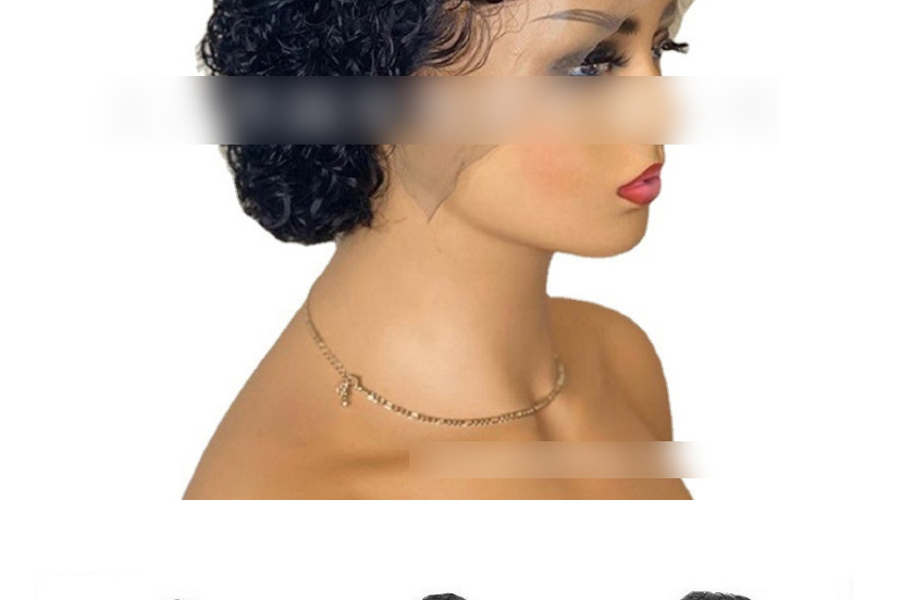 Fashion Wig-3792 Fluffy African Curly Wig,Wigs