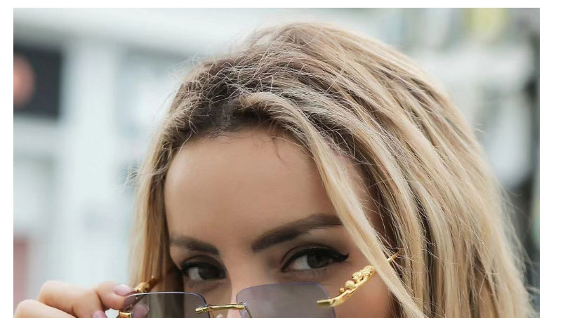 Fashion Double Gray Cheetah Frameless Square Sunglasses,Women Sunglasses