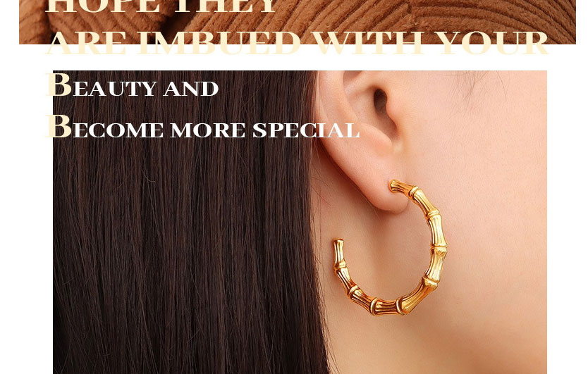 Fashion Gold Color Titanium Steel Gold-plated Geometric C-shaped Earrings,Earrings