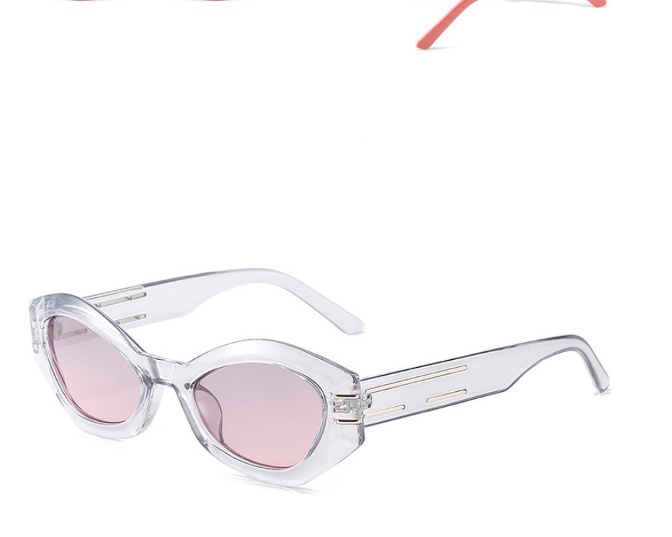 Fashion Gray Frame Purple Powder Tablets Cat Eye Small Frame Sunglasses,Women Sunglasses