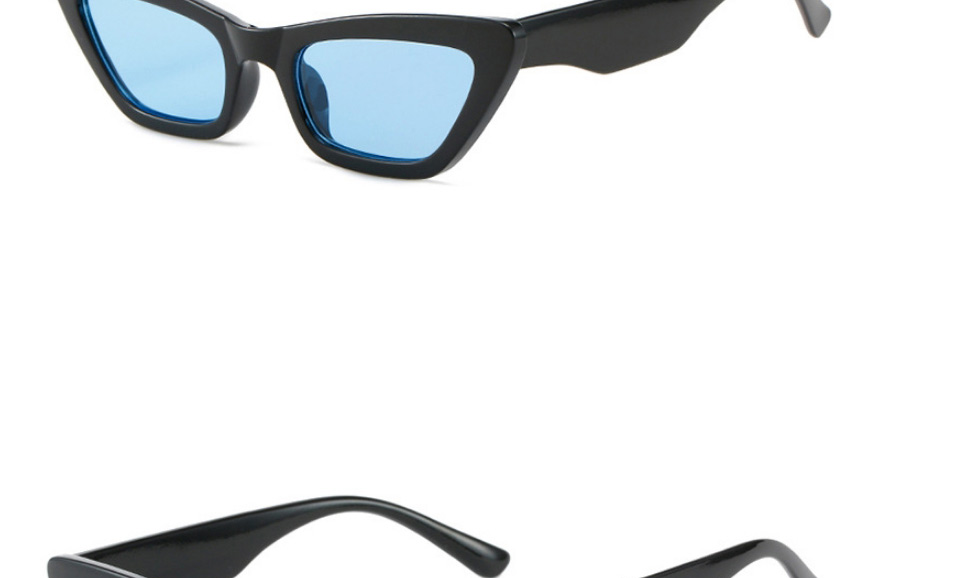 Fashion Blue Frame Cat Eye Small Frame Sunglasses,Women Sunglasses
