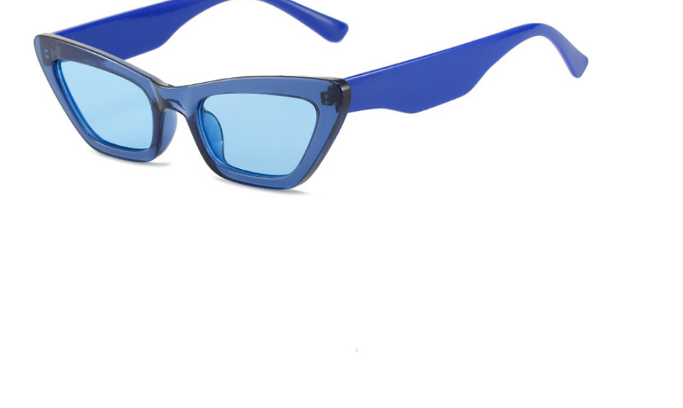 Fashion Black Frame Blue Film Cat Eye Small Frame Sunglasses,Women Sunglasses