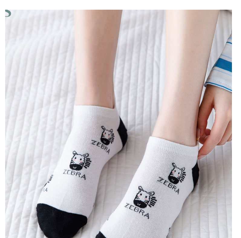 Fashion White Socks Zebra Cotton Geometric Embroidered Boat Socks,Fashion Socks