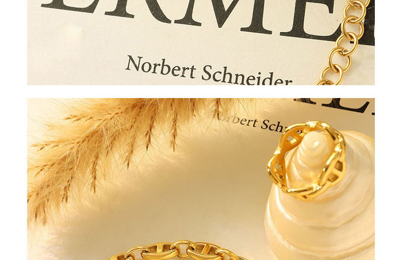 Fashion Gold Color Necklace-40+4cm Titanium Geometric Pig Nose Necklace,Rings