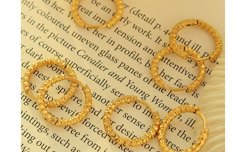 Fashion Pair Of Gold Color Earrings Titanium Gold Plated Embossed Earrings,Earrings
