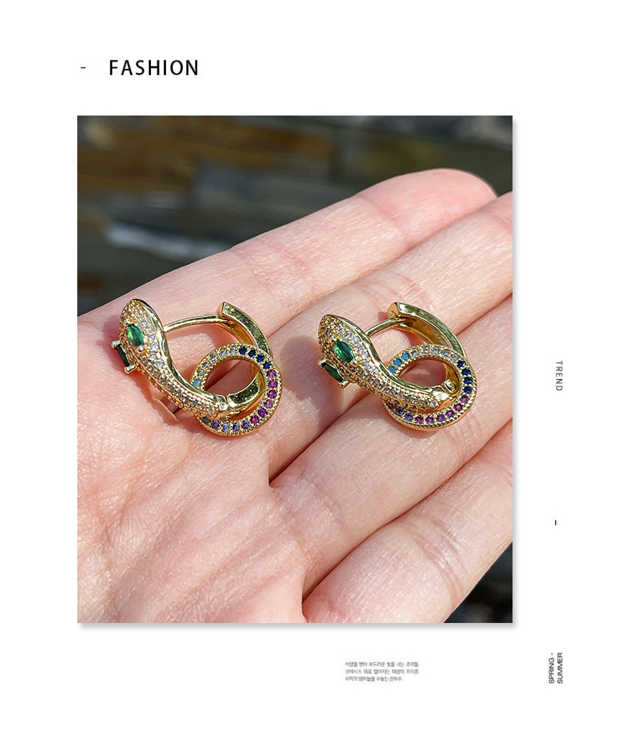 Fashion White Bronze Zirconium Snake Hoop Earrings,Earrings
