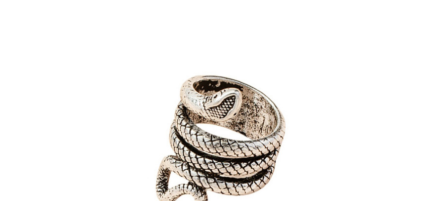 Fashion Ring Zodiac Snake Shaped Alloy Ring,Fashion Rings