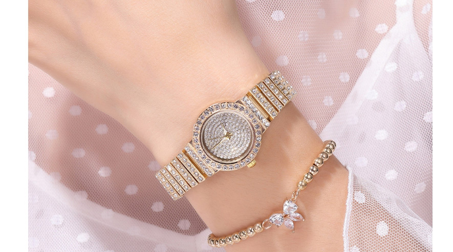 Fashion Silver Color Diamond Gypsophila Watch,Ladies Watches