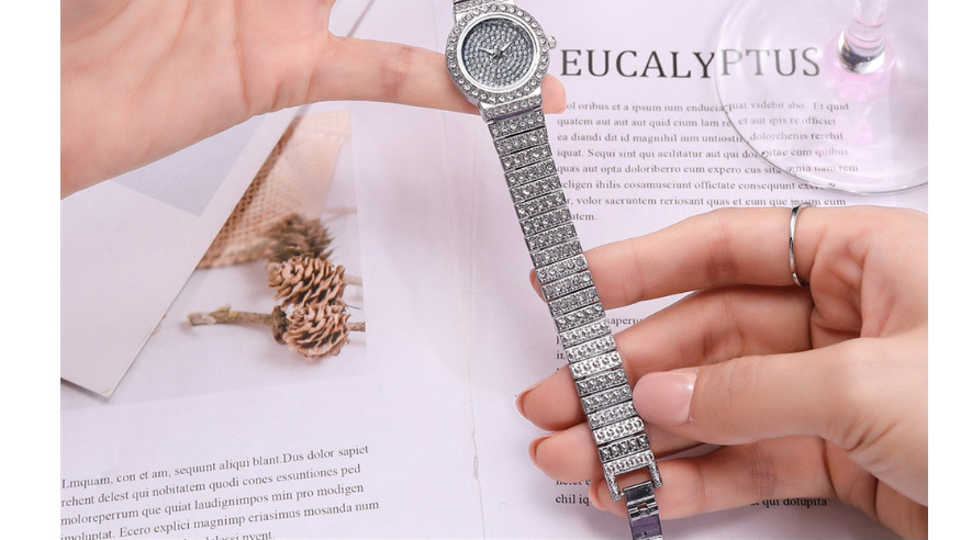 Fashion Silver Color Diamond Gypsophila Watch,Ladies Watches