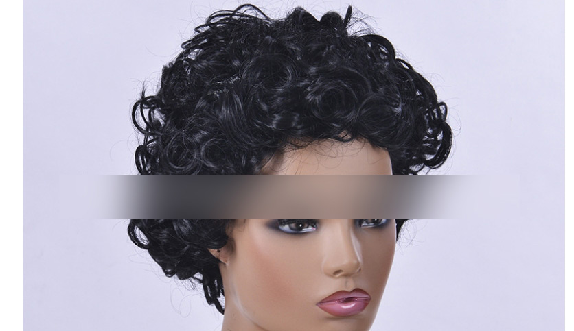 Fashion Black Hair Chemical Fiber Full Headgear Short Curly Hair Wig,Wigs