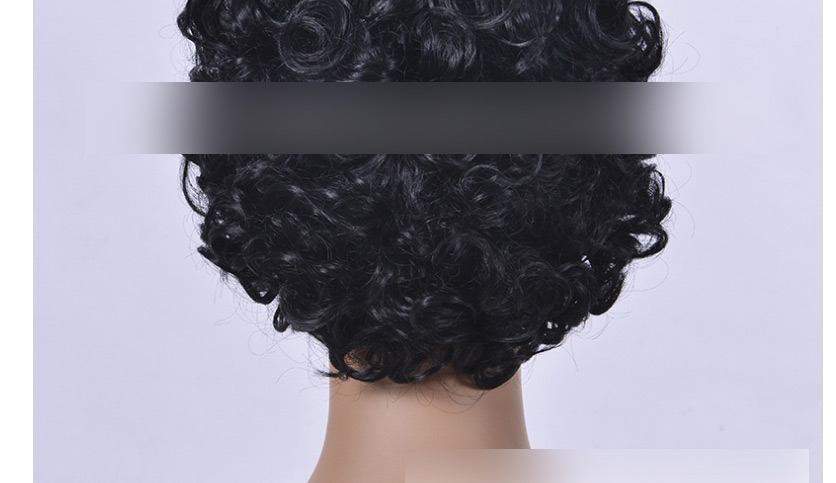 Fashion Black Hair Chemical Fiber Full Headgear Short Curly Hair Wig,Wigs