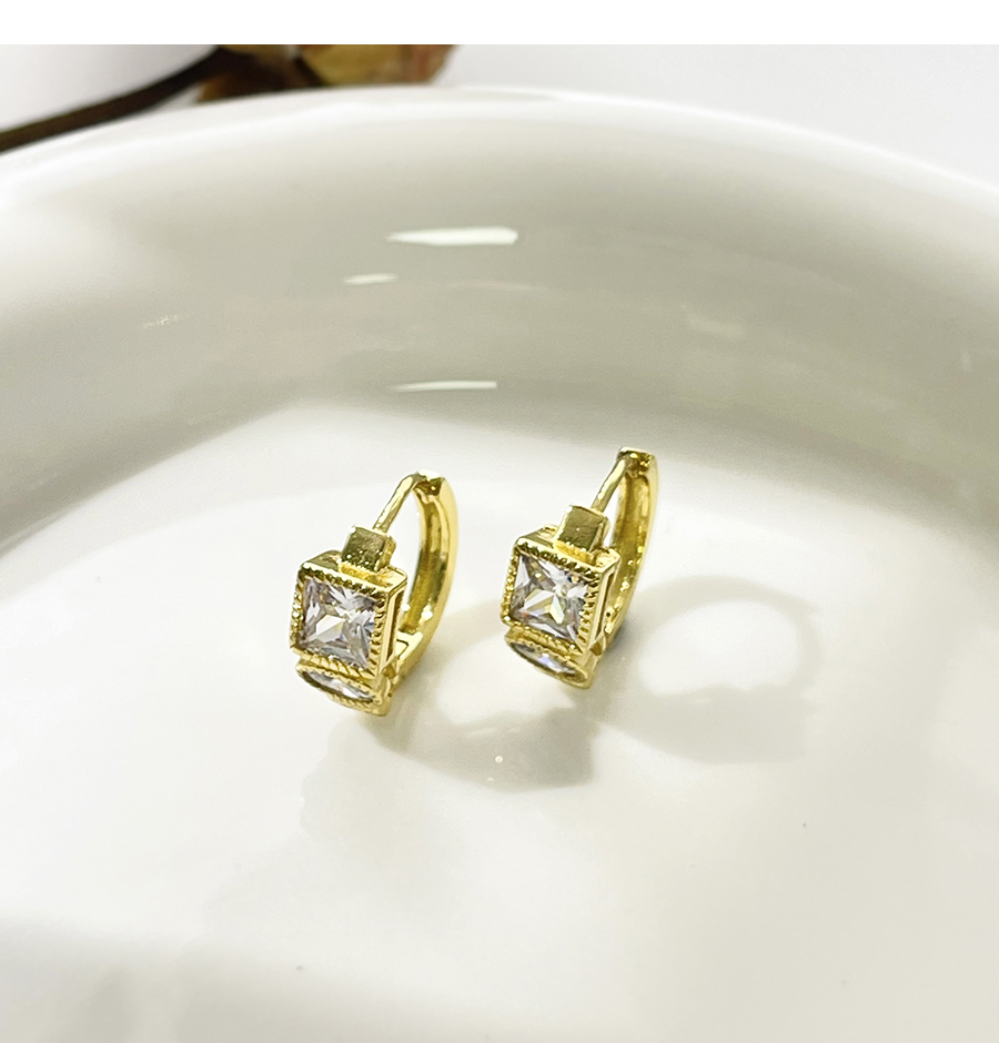 Fashion Gold-2 Brass Inset Zirconium Square Earrings,Earrings