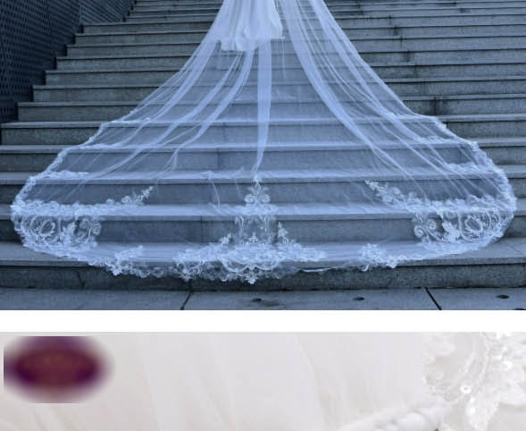 Fashion White Hair Comb Lace Embroidery With Comb Lace Trailing Veil,Hairpins
