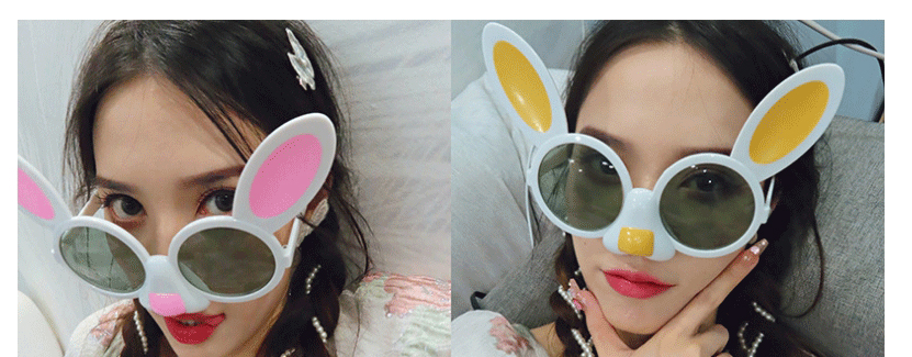 Fashion Orange Rabbit Abs Rabbit Sunglasses,Women Sunglasses