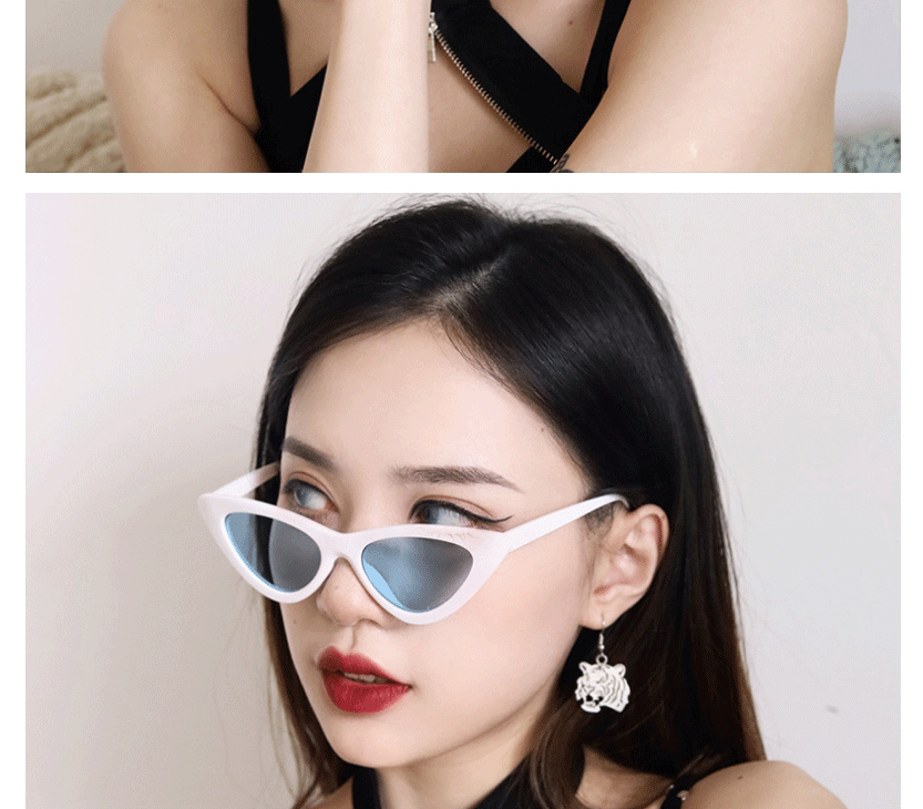 Fashion Black Frame Powder Resin Cat Eye Triangle Sunglasses,Women Sunglasses