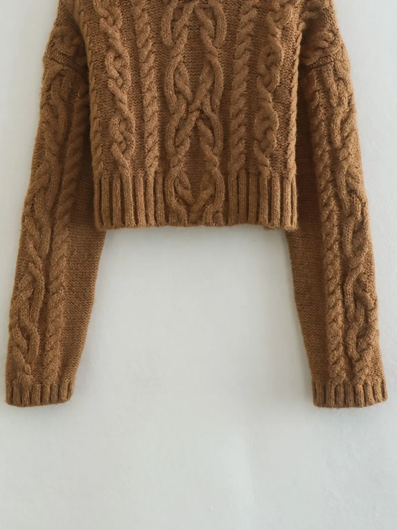 Fashion Brown Eight -stranded Round Neck Knitted Short Sweater,Sweater