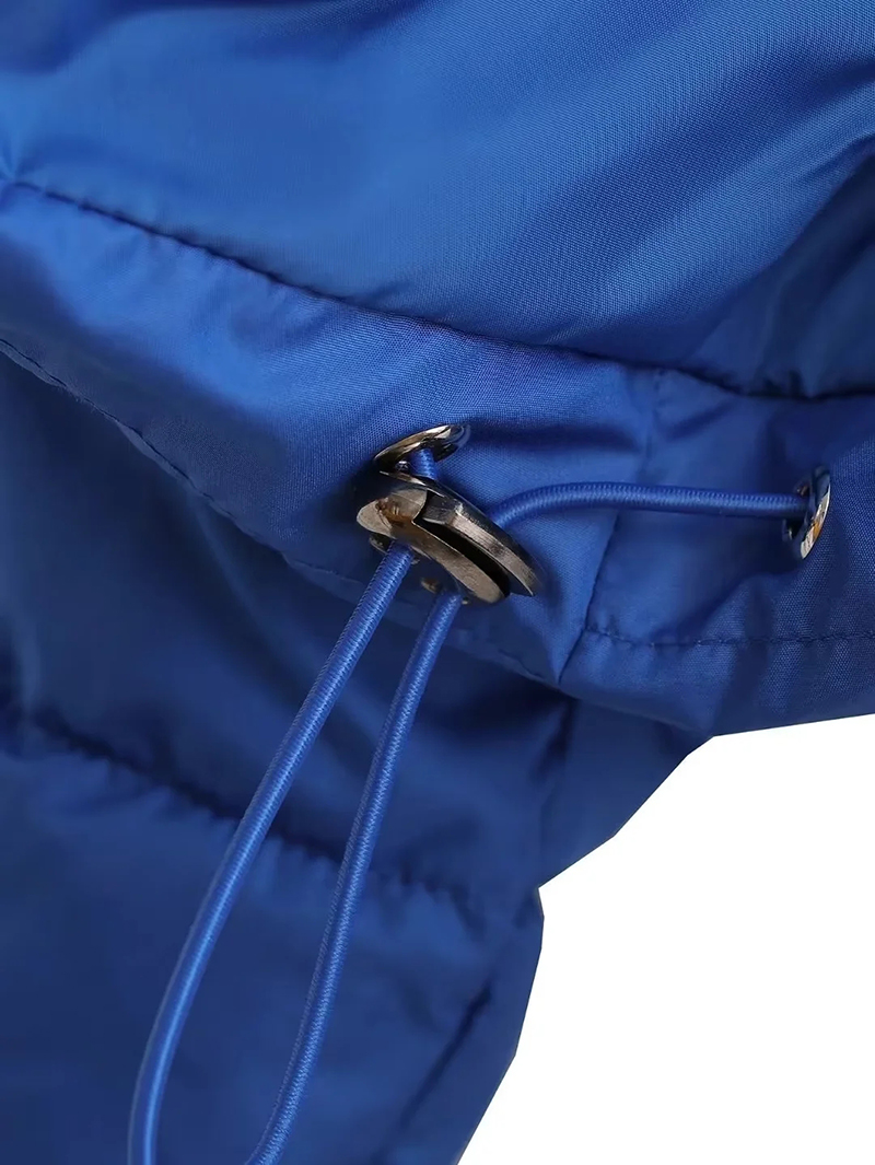 Fashion Blue Polyester Hooded Zipped Jacket,Coat-Jacket