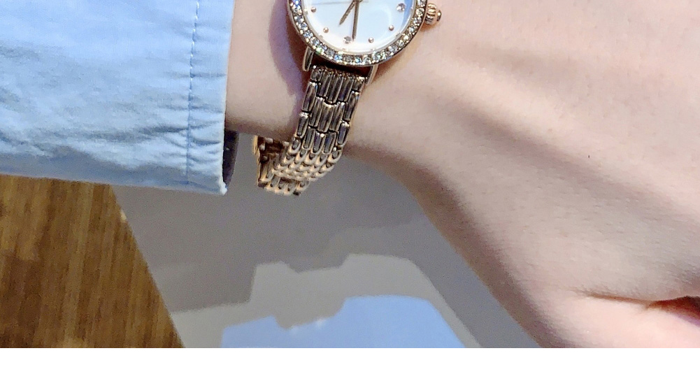 Fashion Rose Gold Titanium Steel Diamond Round Dial Watch (with Battery),Ladies Watches