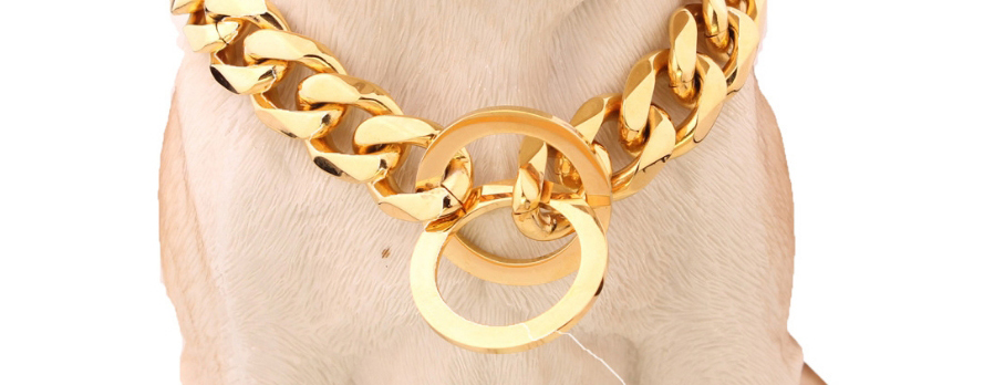 Fashion Gold 14 (recommended 10 For Dog