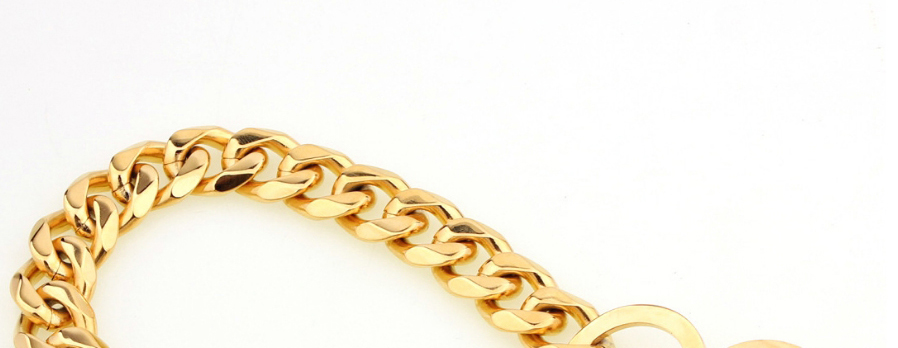 Fashion Gold + Silver (two-color) 22 Inches (recommended Dog Neck 18 Inches) Titanium Steel Geometric Chain Dog Chain,Household goods