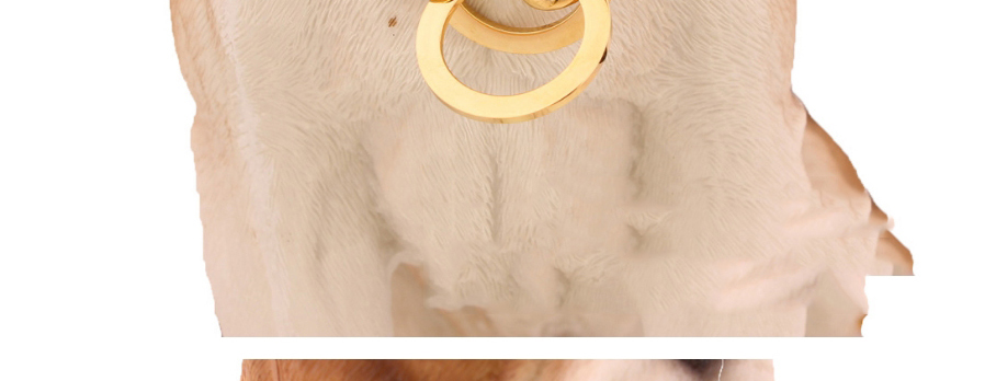 Fashion Gold 14 (recommended 10 For Dog