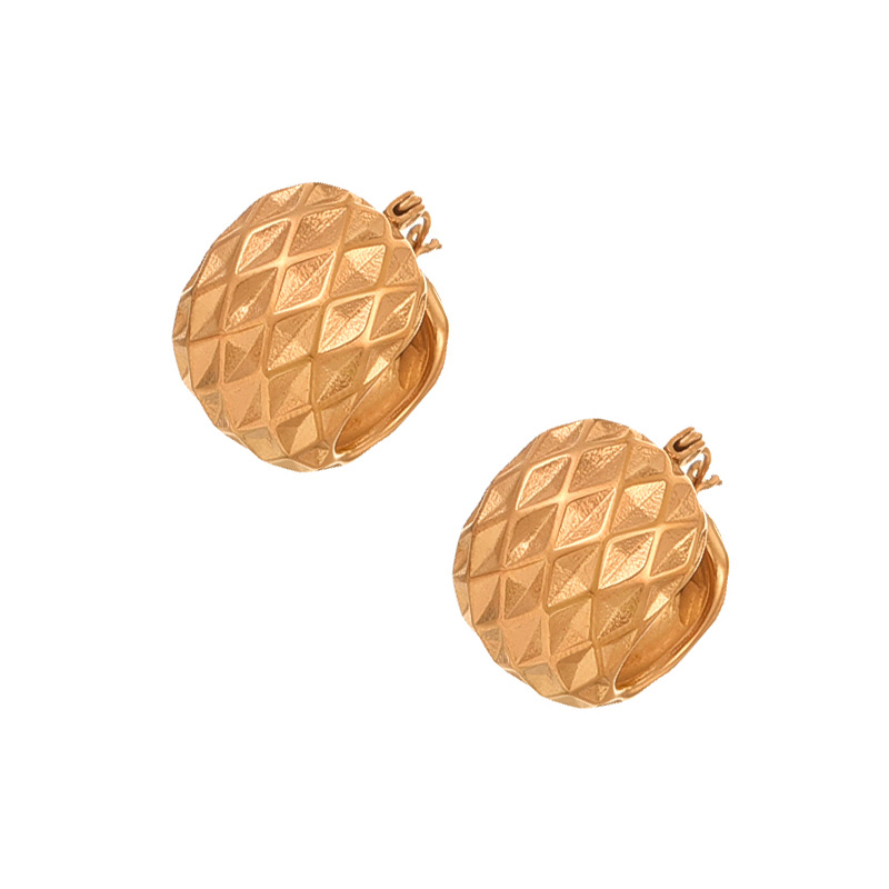 Fashion Gold Titanium Steel Geometric Earrings,Earrings