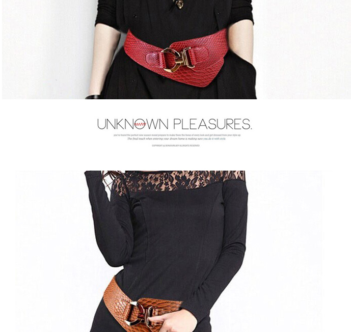 Fashion Brown Buckle Decorated Pure Color Design,Wide belts