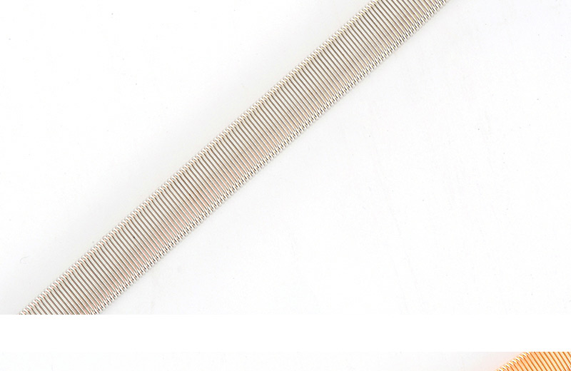 Delicate Silver Color Metal Fish Pendant Decoarted Tassel Simple Belt,Thin belts