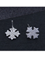 Fashion Silver  Silver Needle Copper Micro-inlaid Zircon Snowflake Stud Earrings
