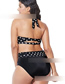 Fashion Pure Black Polka-dot High-rise Bikini