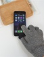 Fashion Black Wool Touch Screen Plus Velvet Finger Gloves