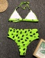 Fashion Green Leopard High Waist Bikini